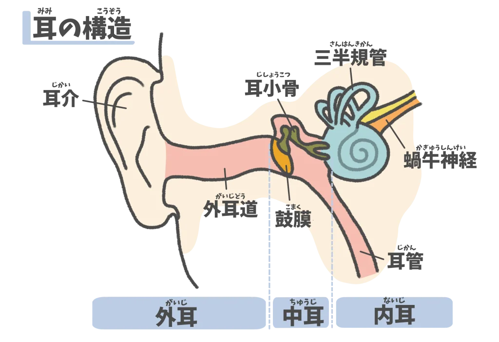 めまいにおける整体の効果。耳の神経