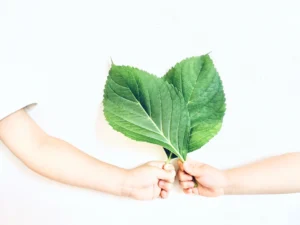 整骨院との相性。葉っぱでハートを現した写真