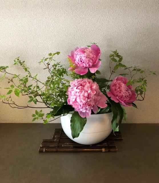 生け花の芍薬