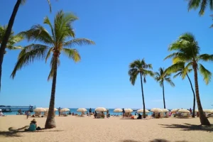 夏本番、海のイメージ写真