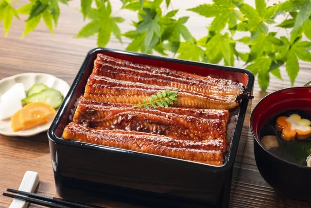 夏本番。栄養のあるものの代表格。うなぎの写真