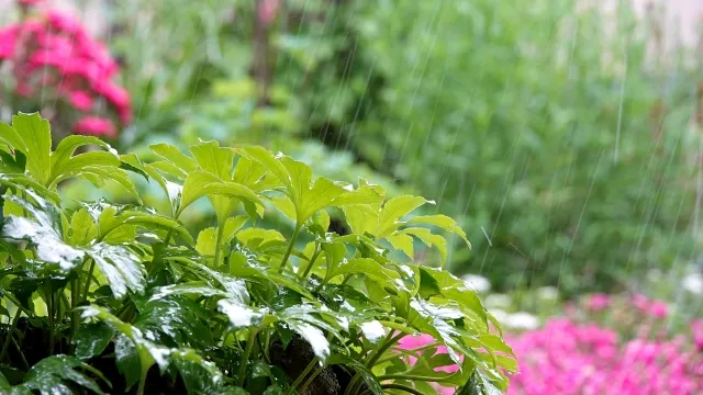 急な大雨をイメージした写真